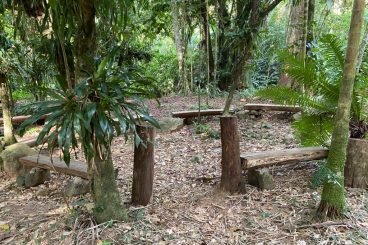 Bosque da Meditação